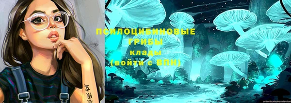 гидропоника Аркадак