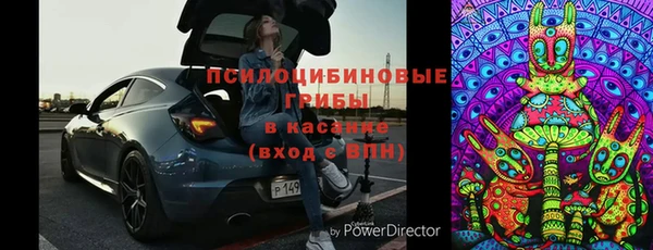 мдпв Армянск
