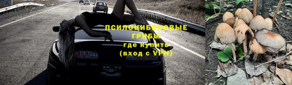 гидропоника Аркадак